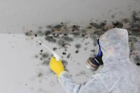 Best Mold Remediation for Healthcare Facilities  in Browns Lake, WI